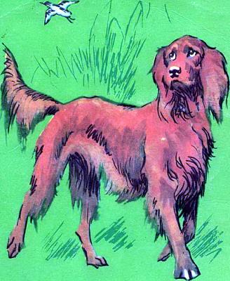     
: Irlandskiy_setter.jpg
: 686
:	61.0 
ID:	1527