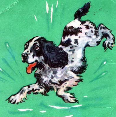     
: Spaniel.jpg
: 623
:	61.2 
ID:	1530