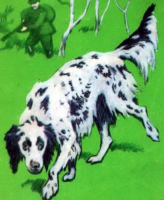     
: Angliyskiy_setter.jpg
: 618
:	56.1 
ID:	1532