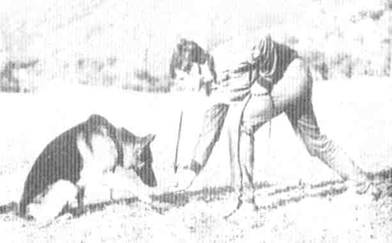 : 14.     .jpg
: 429

: 11.7 