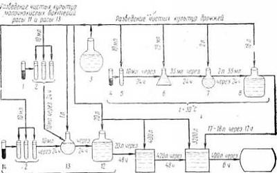 Нажмите на изображение для увеличения
Название: Схема приготовления комбинированной дрожжевой и молочнокислой закваски.jpg
Просмотров: 3926
Размер: 15.3 Кб
ID: 1600
