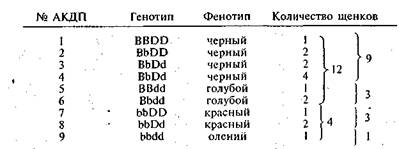 : doberman_9.jpg
: 11046

: 10.7 