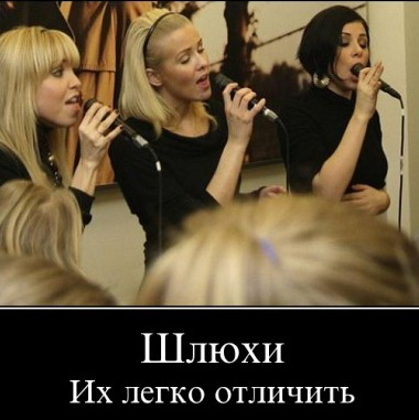 : shluha.jpg
: 11776

: 46.9 