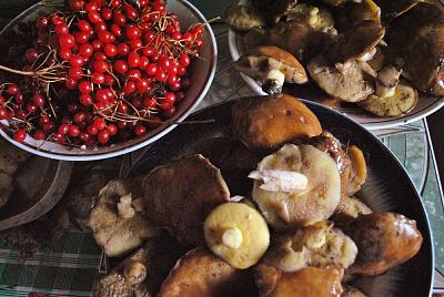 ������� �� ����������� ��� ����������
��������: ������� ������.jpg
����������: 370
������:	77.6 ��
ID:	690