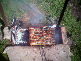 : Shashlik.jpg
: 1406

: 18.7 