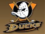   anaheim ducks