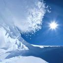 ������ ��� Polly Ist