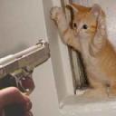   Tom Morrow