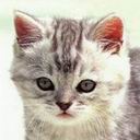   Lucy Fiv